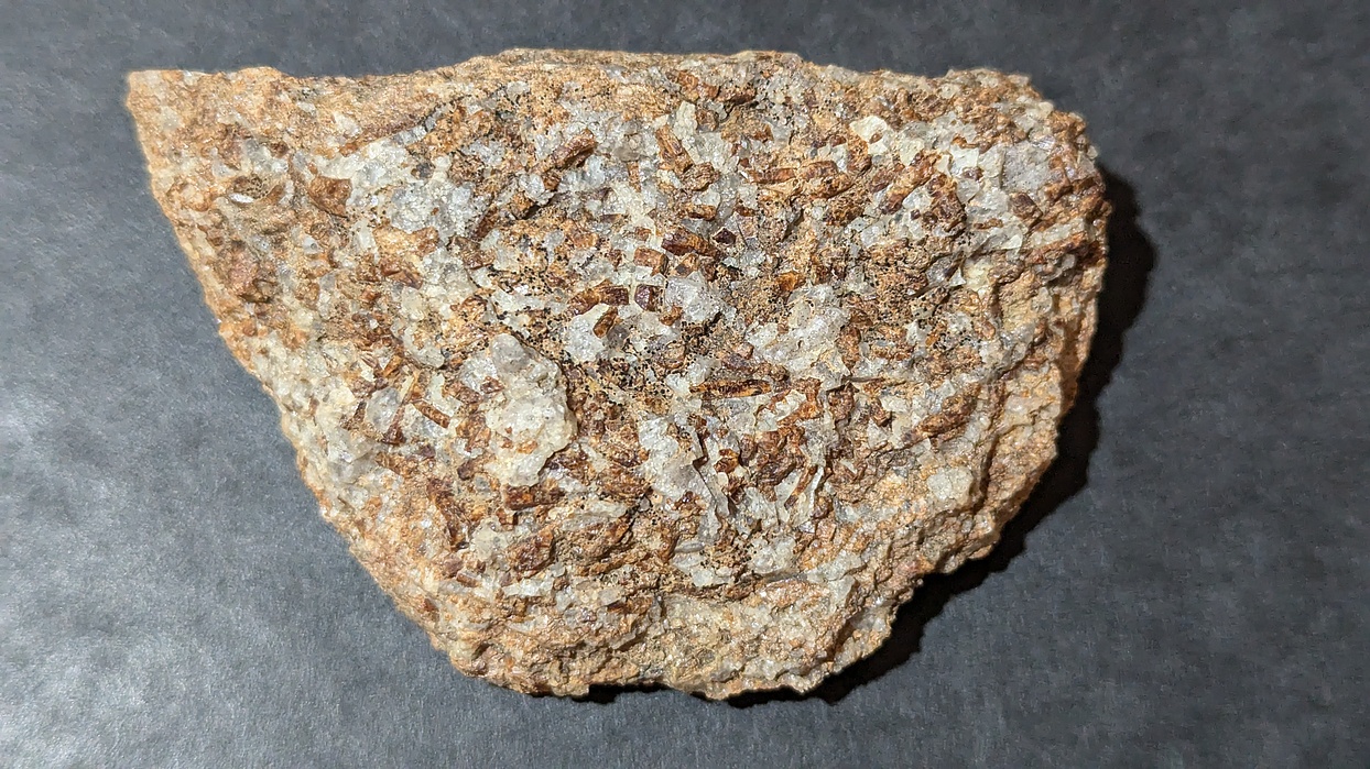 ん NOS OEM Genuine Harley Davidson Master Cylinder Piston O