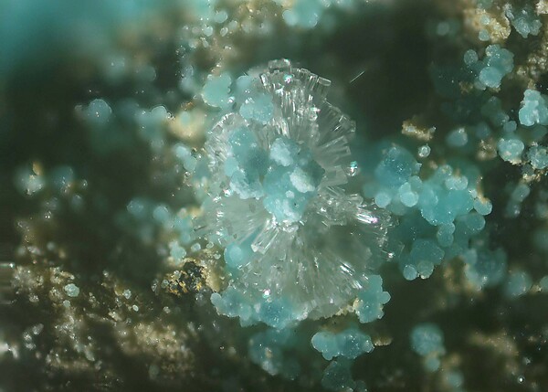 Turquoise from Grant County, New Mexico, USA