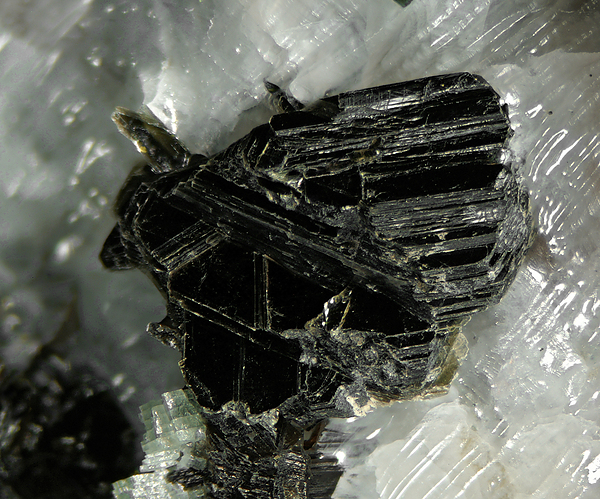 BROOKS ブルックス　スウィフト　チタン B42 17 車・バイク・自転車 BROOKS ブルックス スウィフト チタン B42