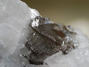 03351720017368355799312.jpg