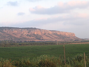 06493620017272473189026.jpg
