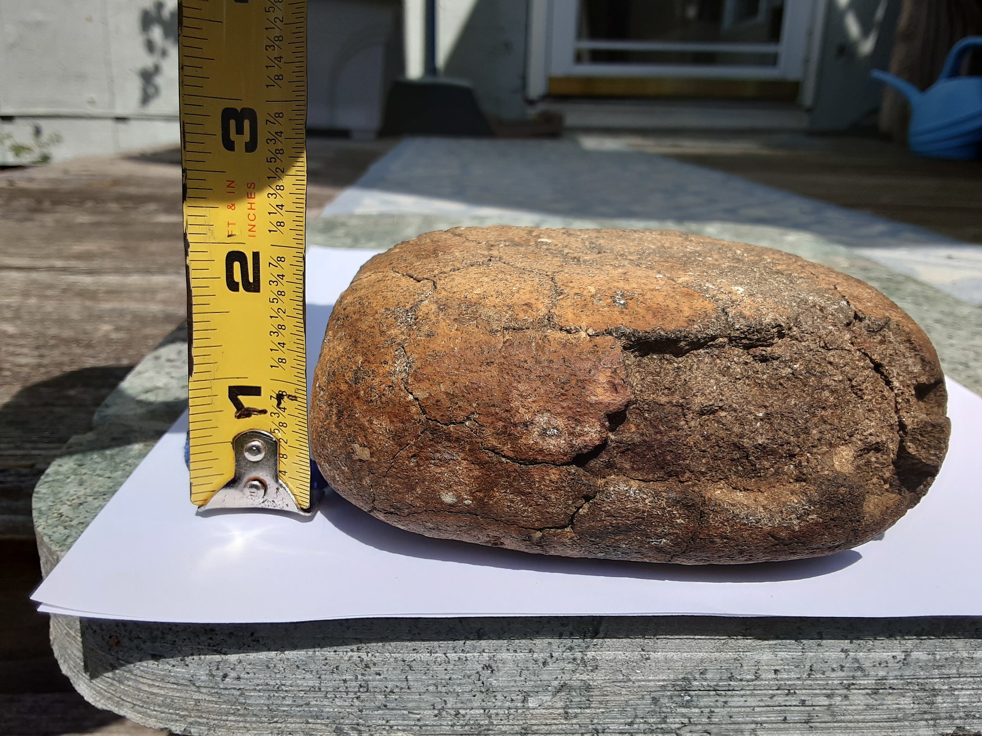 Fossils : Dinosaur Egg found in MA, help identify species?