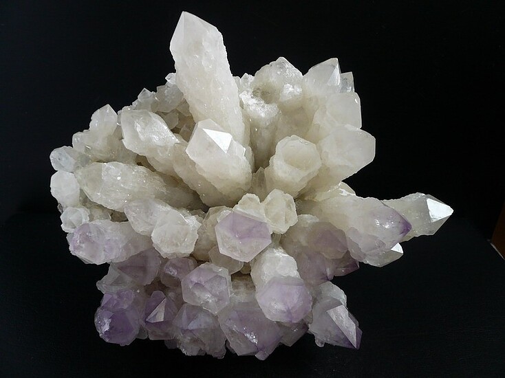 mn様 The rebalancing of the immune system at the maternal-fetal