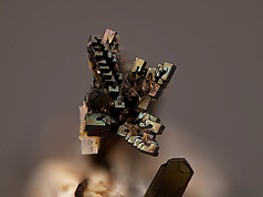 09932090017272758652634.jpg