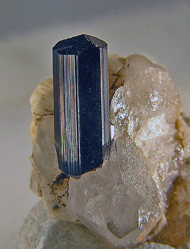 Ogil va ona porno videolar