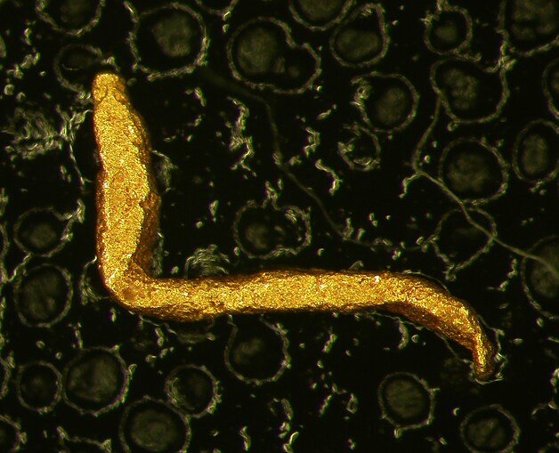 Native Gold from Turkestan