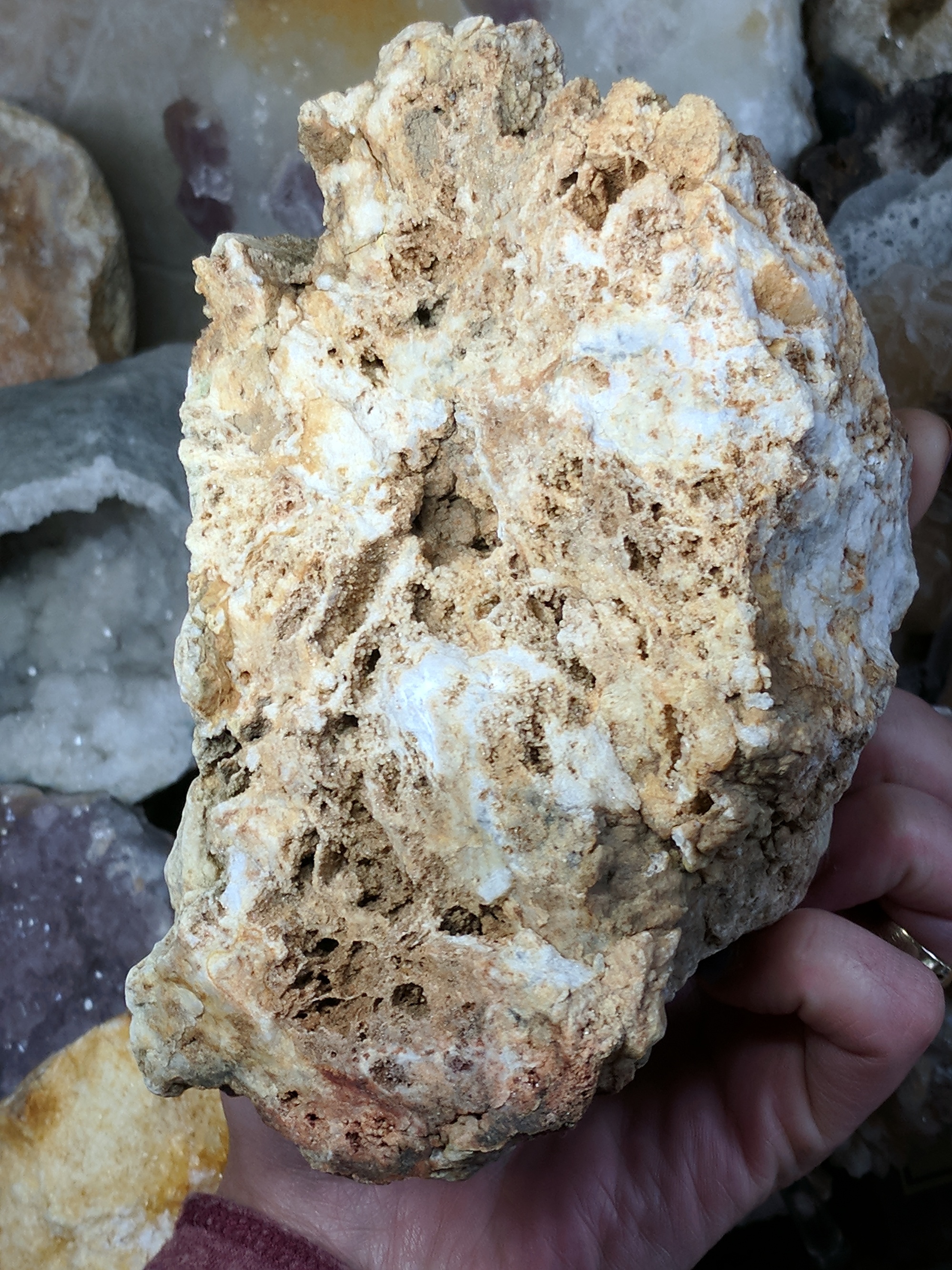 Identity Help : Geode or Nodule-What Is This Ugly Thing?Lol