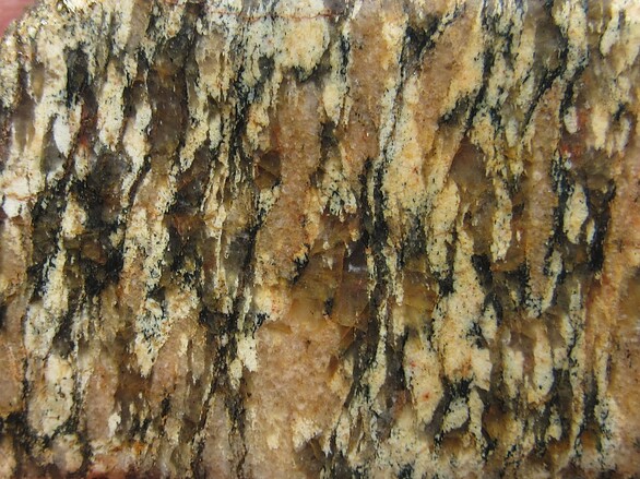 ゆん SIRT5 -mediated desuccinylation of UQCRC2 attenuates osteogenic