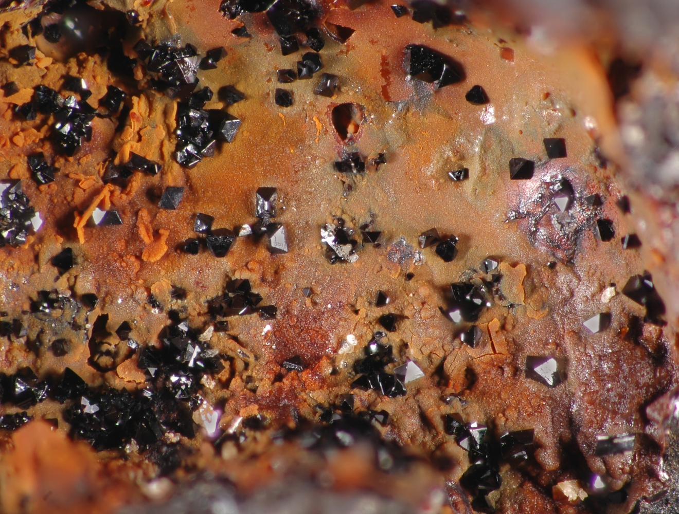 ESP™ Maintenance Program | Pratt \u0026 Whitney, image size:1320x1000