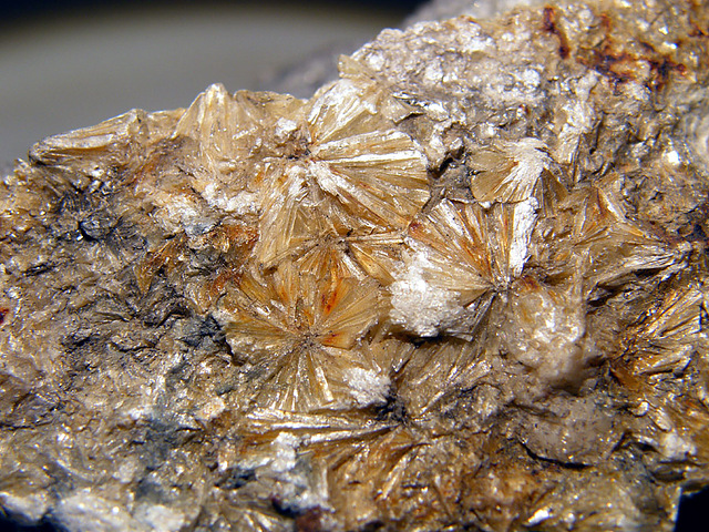 Pyrophyllite