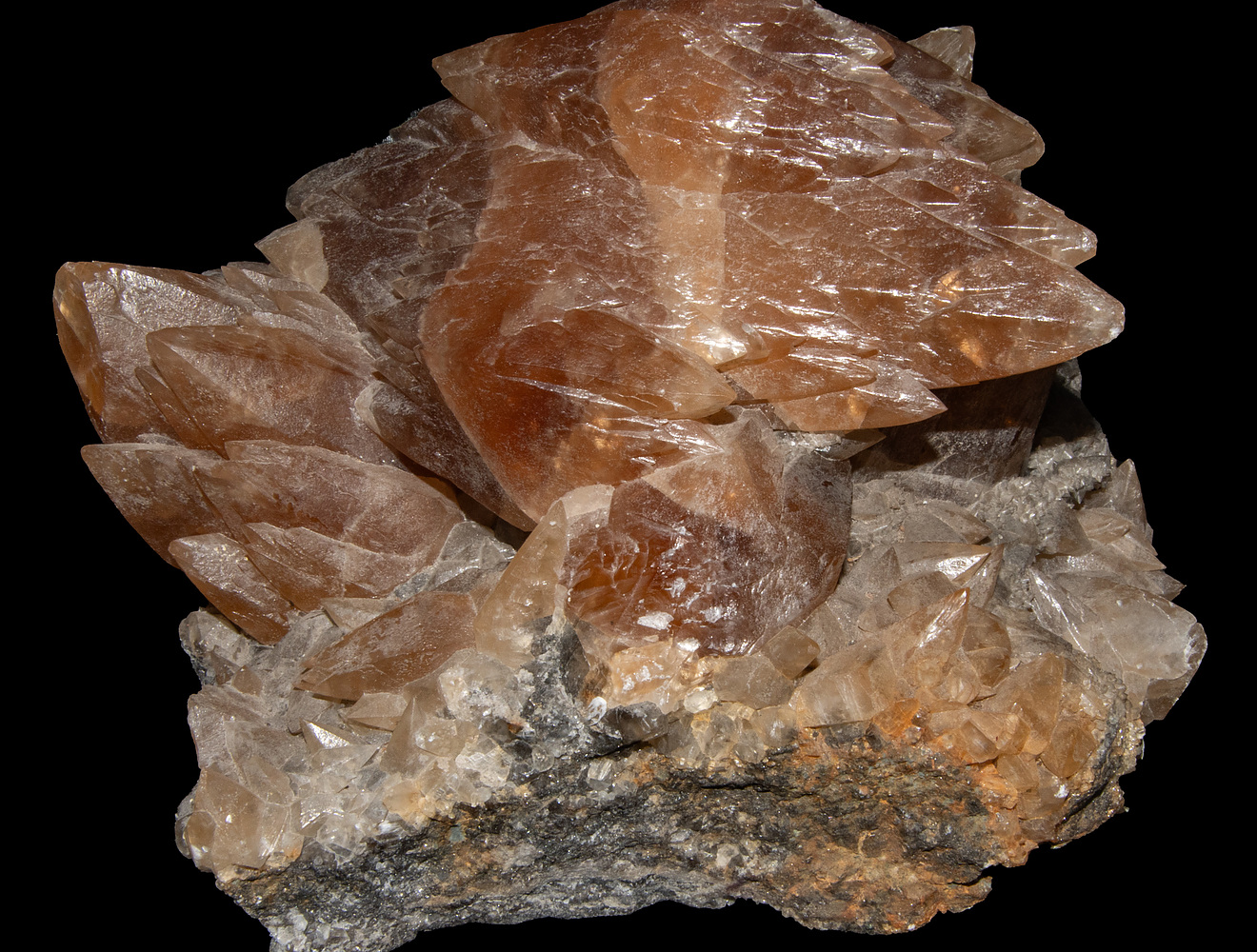 Localities : Pugh Quarry (France Stone Co. Custar quarry), Weston, Wood ...
