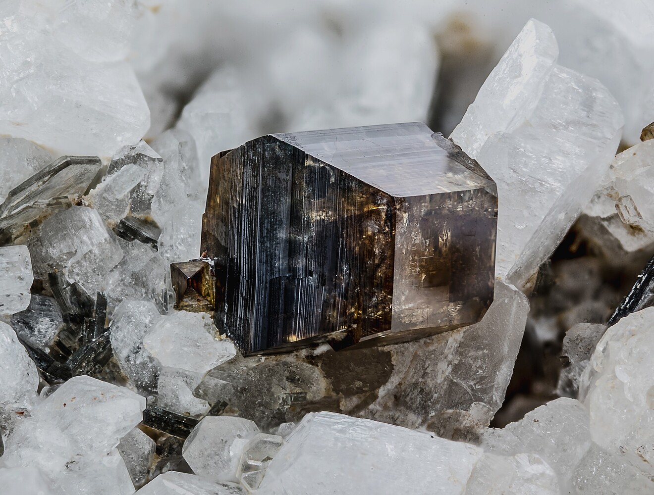 INTERNATIONAL MAGAZINE, image size:1320x1000