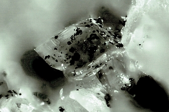 07972400017368355797931.jpg