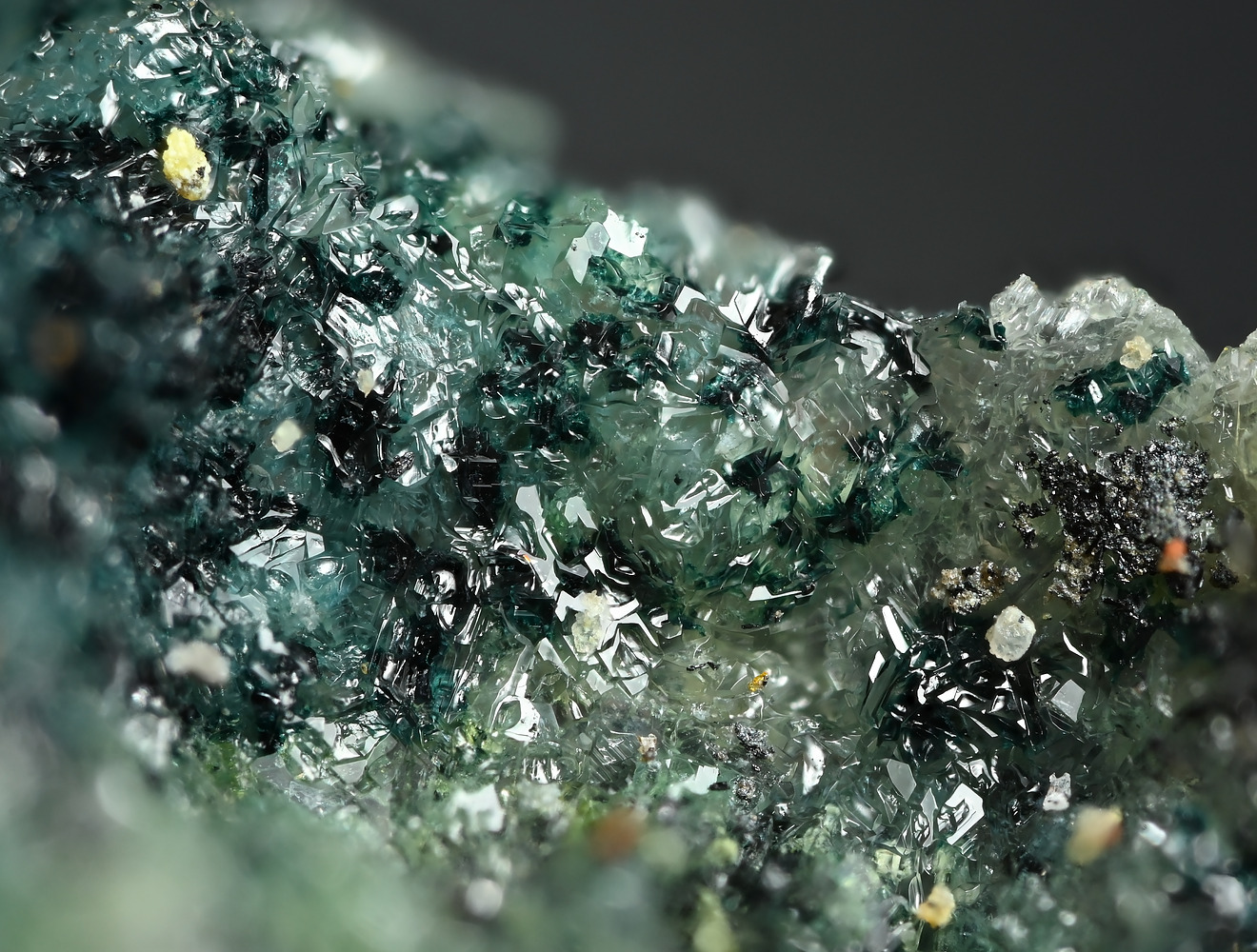 ユウ Card Search (Order: Newest First) | TCG Republic