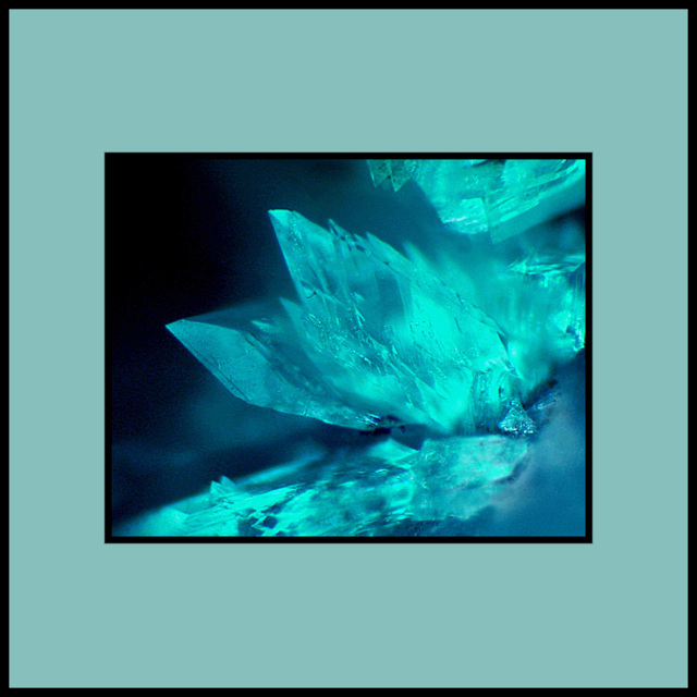 Mineral Mind - Collier en turquoise du Tibet #turquoise #turquoisedutibet  #mineralmind #mineralminds #collier #bijoucreateur #creatricefrancaise🇫🇷  #ecology #zen #ethicalfashion