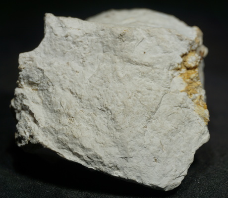<a href="/photo-929289.html"><h1>Limestone</h1><h2>Guárico, Venezuela</h2><p>Limestone from San Juan de Los Morros, Guarico, Venezuela.  Specimen 12 of 30 from "The Rocks and the Minerals of Venezuela" collection.</p><p class="clickhere">Click here to view photo page on mindat.org</p></a>