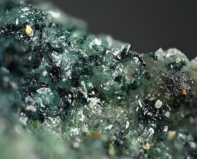 スタート（20枚） ワンピース ONE PIECE カードゲーム スタートデッキ 黄