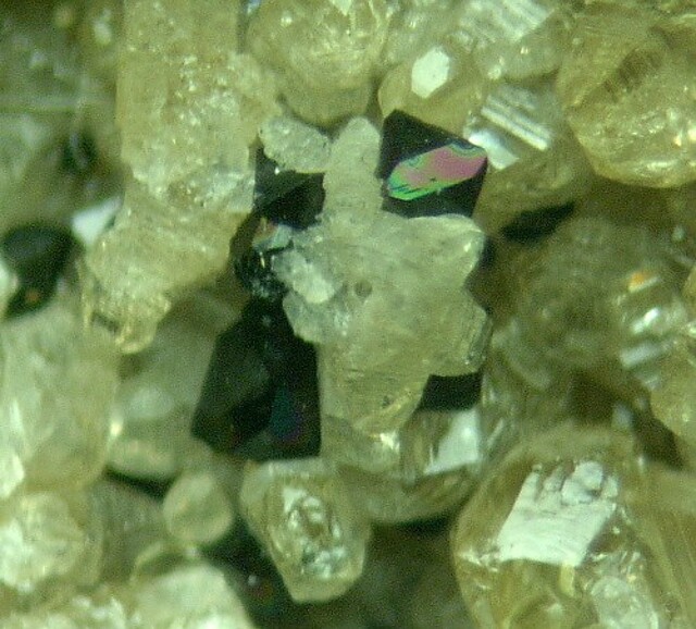 Humite, Magnetite
