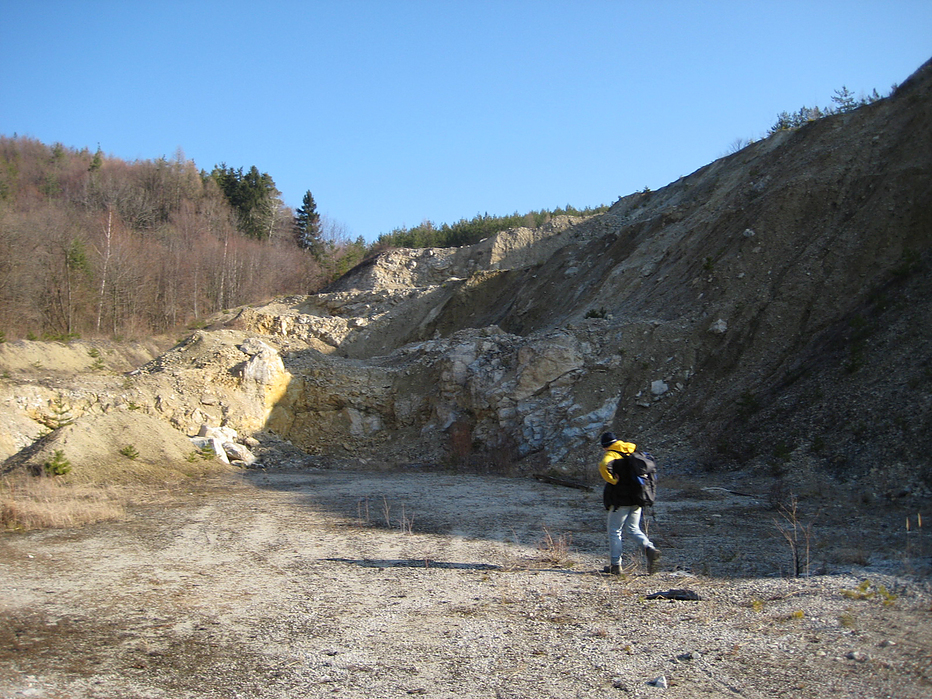 01549460017272084271788.jpg