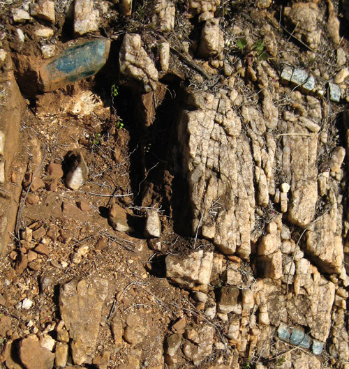 Harding Springs, Ambalindum Station, Harts Range (Harts Ranges