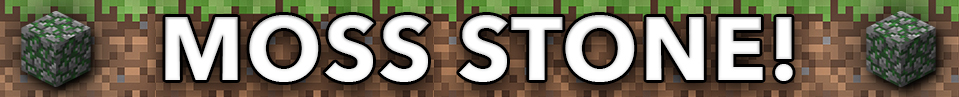 02013310017277224873534.jpg
