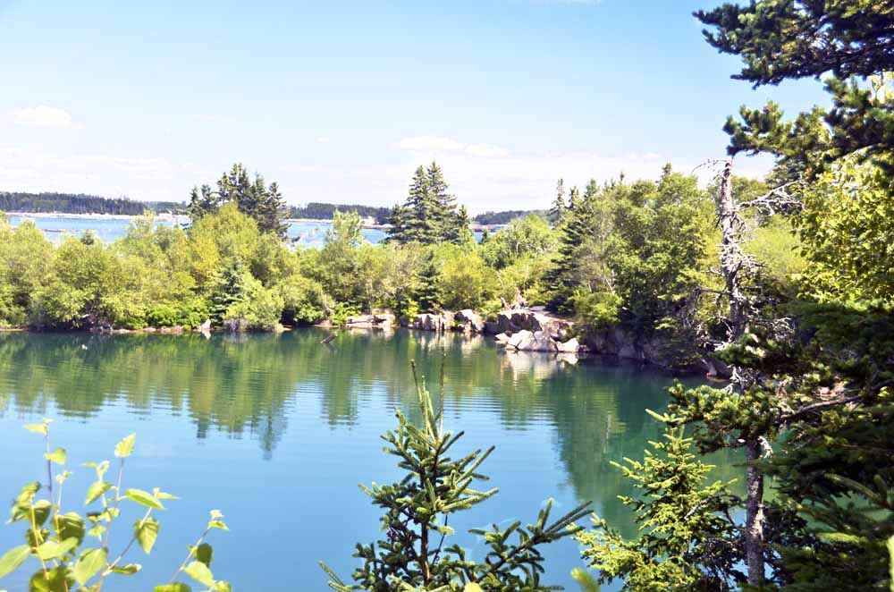 Copyright © Henry Minot